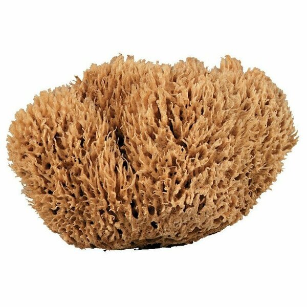 Acme SPONGE NAT SEAWOOL 8-9 SW8090